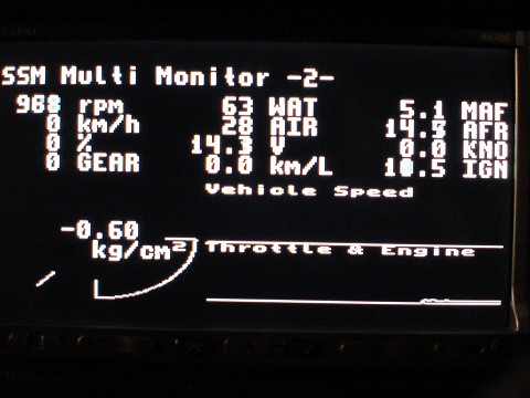 SSM Multi Monitor -2-.jpg