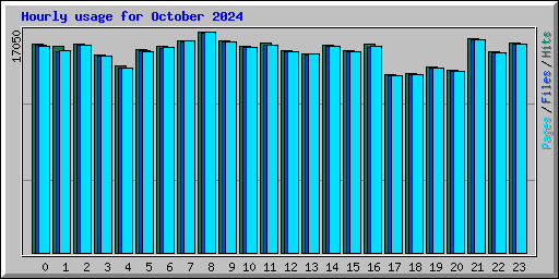 Hourly usage for October 2024