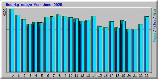 Hourly usage for June 2025