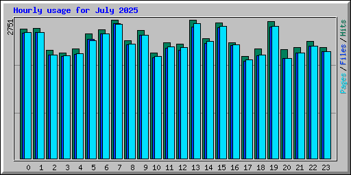 Hourly usage for July 2025