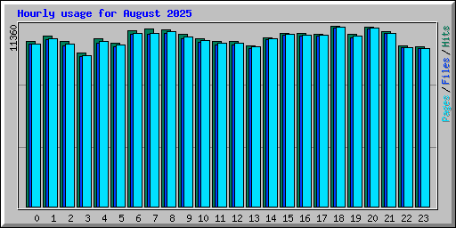 Hourly usage for August 2025