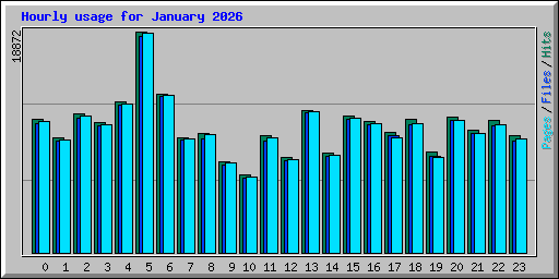 Hourly usage for January 2026