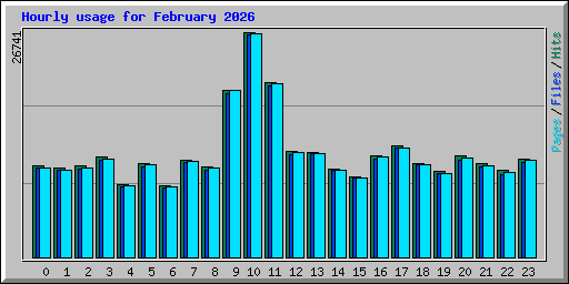 Hourly usage for February 2026